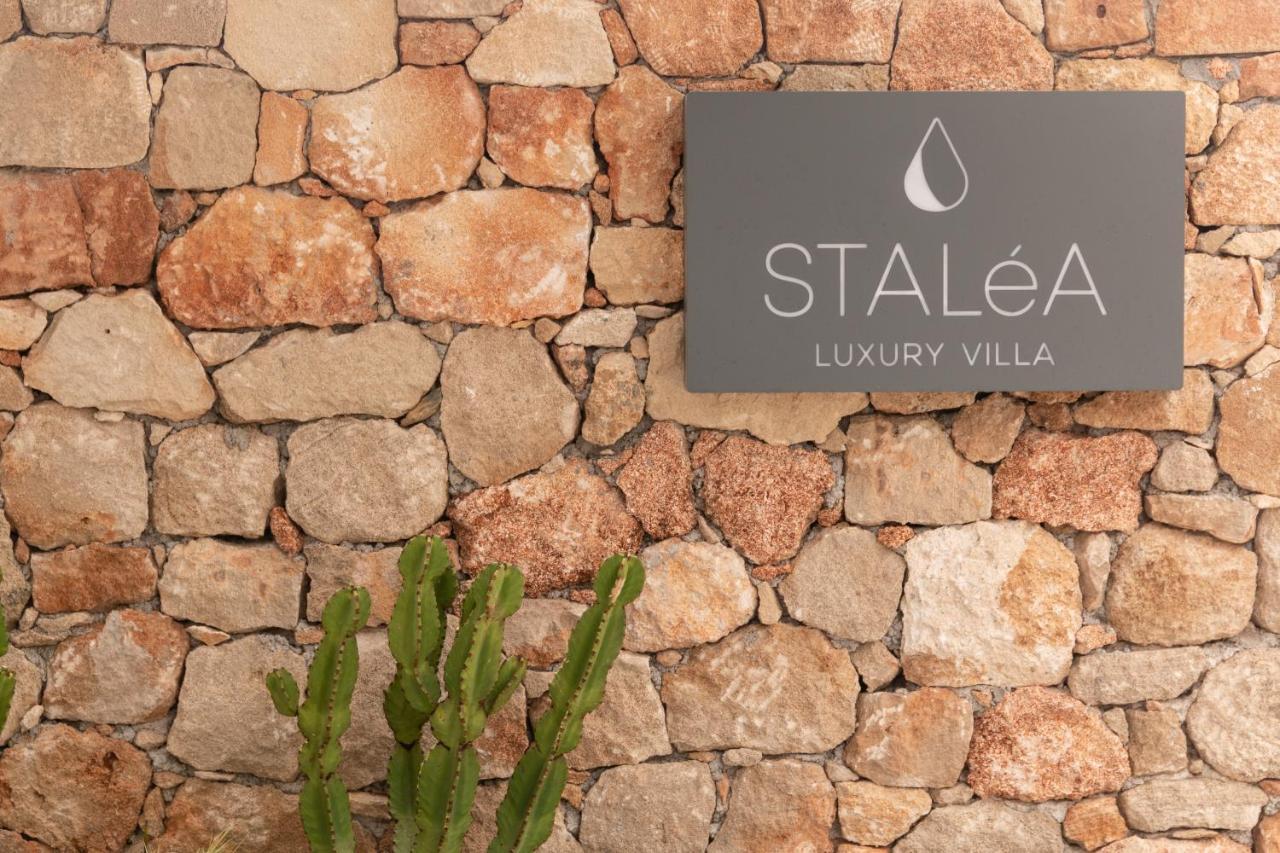 Stalea Luxury Villa Pefki 外观 照片